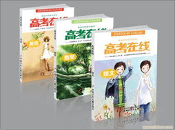 封面設(shè)計與品牌塑造 從食品包裝到企業(yè)VI與軟件開發(fā)
